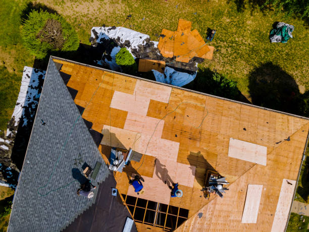 Best Commercial Roofing Services  in Andrews Af, MD